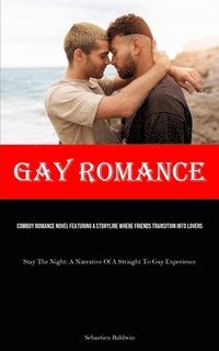 bokomslag Gay Romance