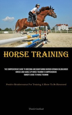 bokomslag Horse Training