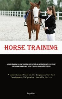 bokomslag Horse Training