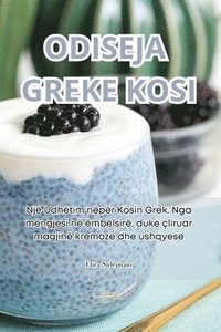 bokomslag Odiseja Greke Kosi