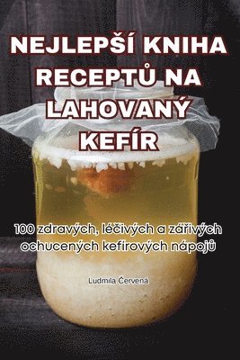 bokomslag Nejleps Kniha Recept&#366; Na Lahovan Kefr