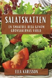 bokomslag Salatskatten