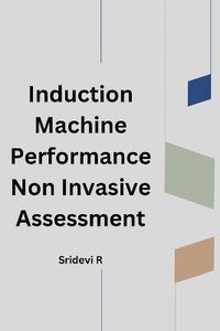 bokomslag Induction Machine Performance Non Invasive Assessment