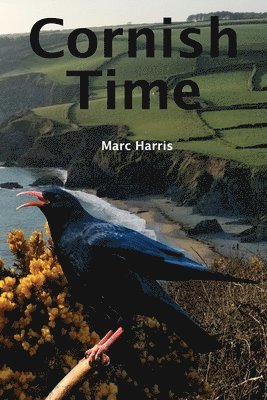 bokomslag Cornish Time