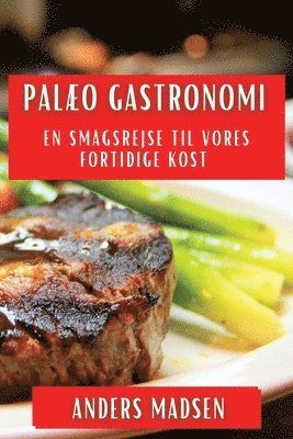 bokomslag Palæo Gastronomi