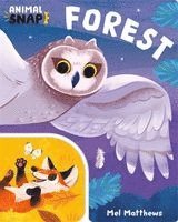 Animal Snap: Forest, Kartonnage