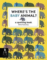 bokomslag Where's the Baby Animal?