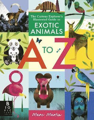 Marc Martin - Curious Explorer's Illustrated Guide to Exotic Animals A to Z, Häftad
