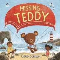 Missing Teddy 1