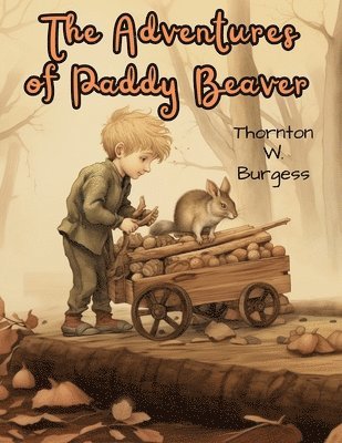 bokomslag Adventures of Paddy Beaver