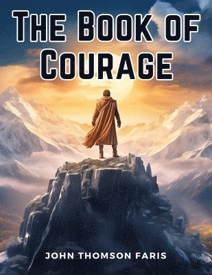 bokomslag The Book of Courage