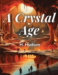 bokomslag Crystal Age By