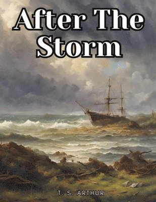 bokomslag After The Storm