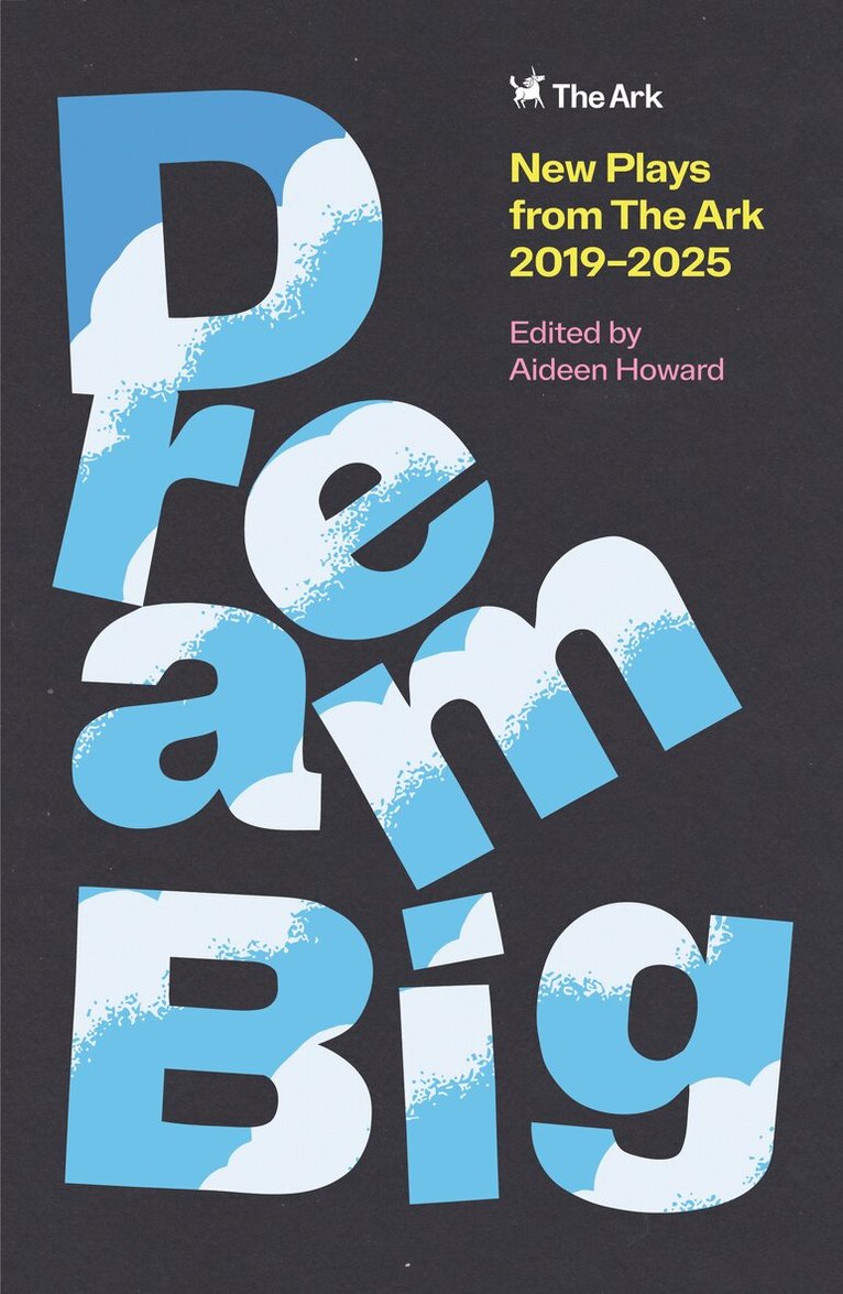 Aideen Howard - DREAM BIG, Häftad
