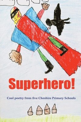 Paul Delaney - Superhero!, Häftad
