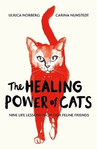 bokomslag Healing Power of Cats