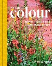 bokomslag Year of Colour