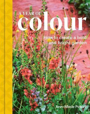 Ann-Marie Powell - Year of Colour, Inbunden