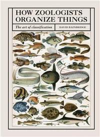 bokomslag How Zoologists Organize Things