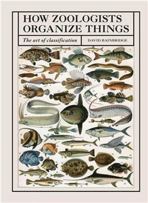 How Zoologists Organize Things 1