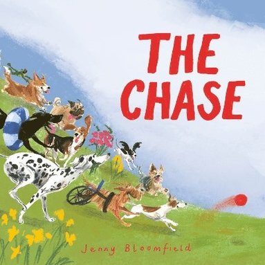 bokomslag Chase