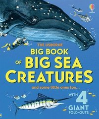 bokomslag Big Book of Big Sea Creatures