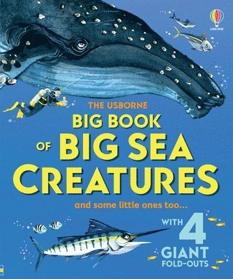 Big Book of Big Sea Creatures 1