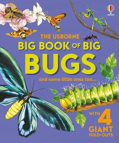 Emily Bone - Big Book of Big Bugs, Inbunden