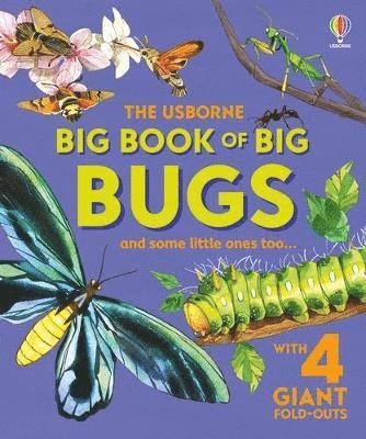 Big Book of Big Bugs 1