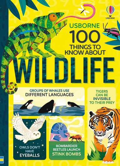 Alice James, Victoria Williams, Rose Hall - 100 Things to Know About Wildlife, Inbunden