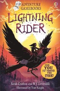 bokomslag Lightning Rider