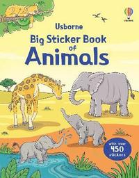 bokomslag Big Sticker Book of Animals