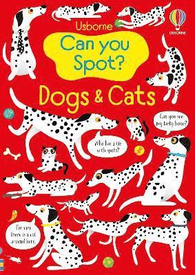 bokomslag Can You Spot? Dogs and Cats