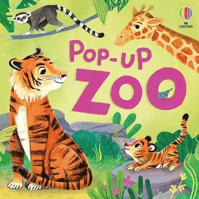 Pop-up Zoo