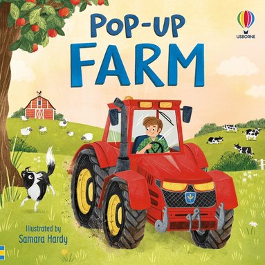 Lizzie Cope - Pop-up Farm, Kartonnage