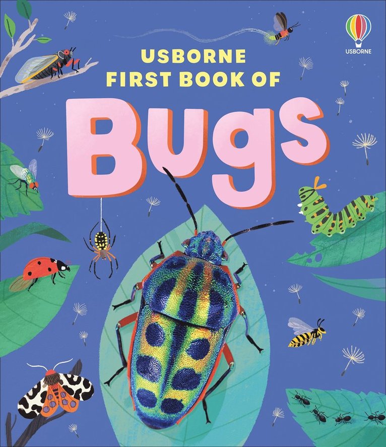 Usborne First Book of Bugs