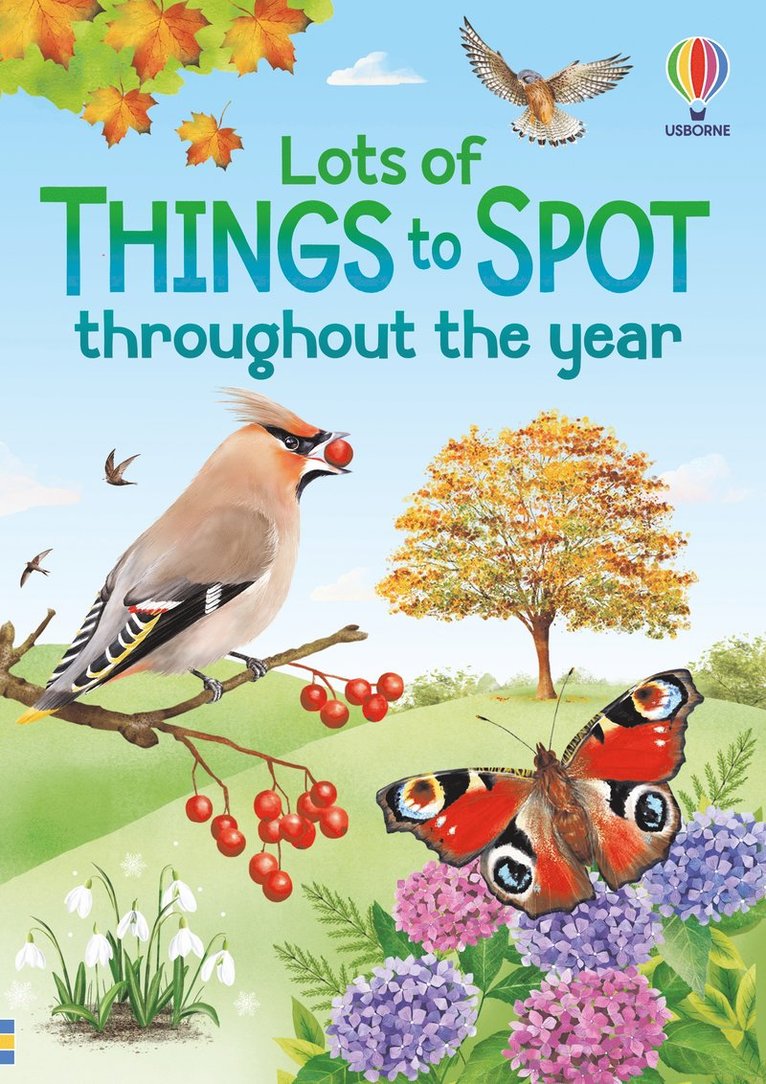 Lots of Things to Spot throughout the year