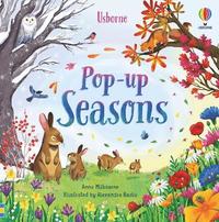 bokomslag Pop-up Seasons