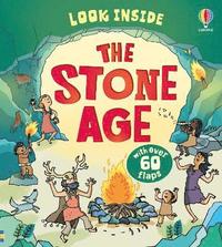 bokomslag Look Inside the Stone Age