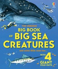 bokomslag Big Book of Big Sea Creatures