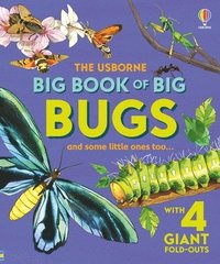 bokomslag Big Book of Big Bugs