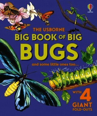 Emily Bone - Big Book of Big Bugs, Inbunden