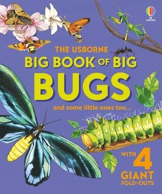 bokomslag Big Book of Big Bugs