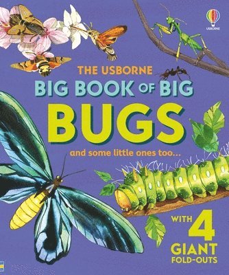 Big Book of Big Bugs 1