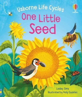 bokomslag One Little Seed