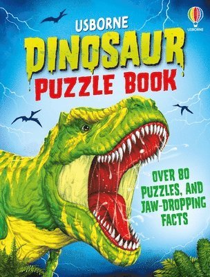 bokomslag Dinosaur Puzzle Book