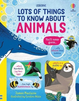 Lots of Things to Know about Animals 1