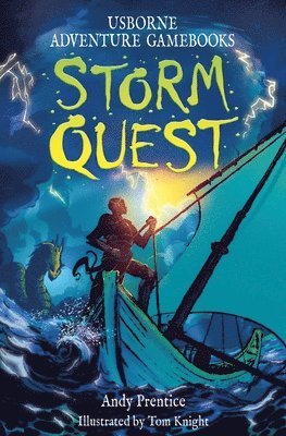 bokomslag Storm Quest