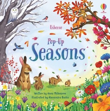 Anna Milbourne - Pop-Up Seasons, Kartonnage
