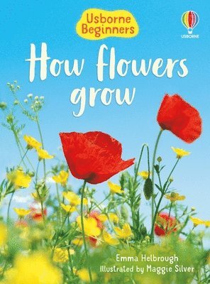 Emma Helbrough - How Flowers Grow (Usborne Beginners), Häftad